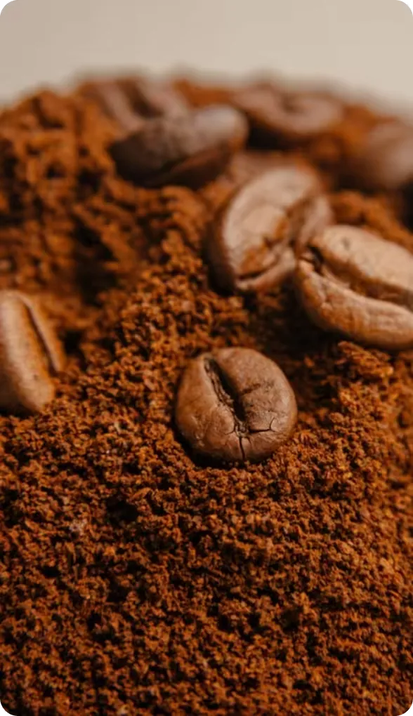 Macro view of milled coffee grounds and roasted beans